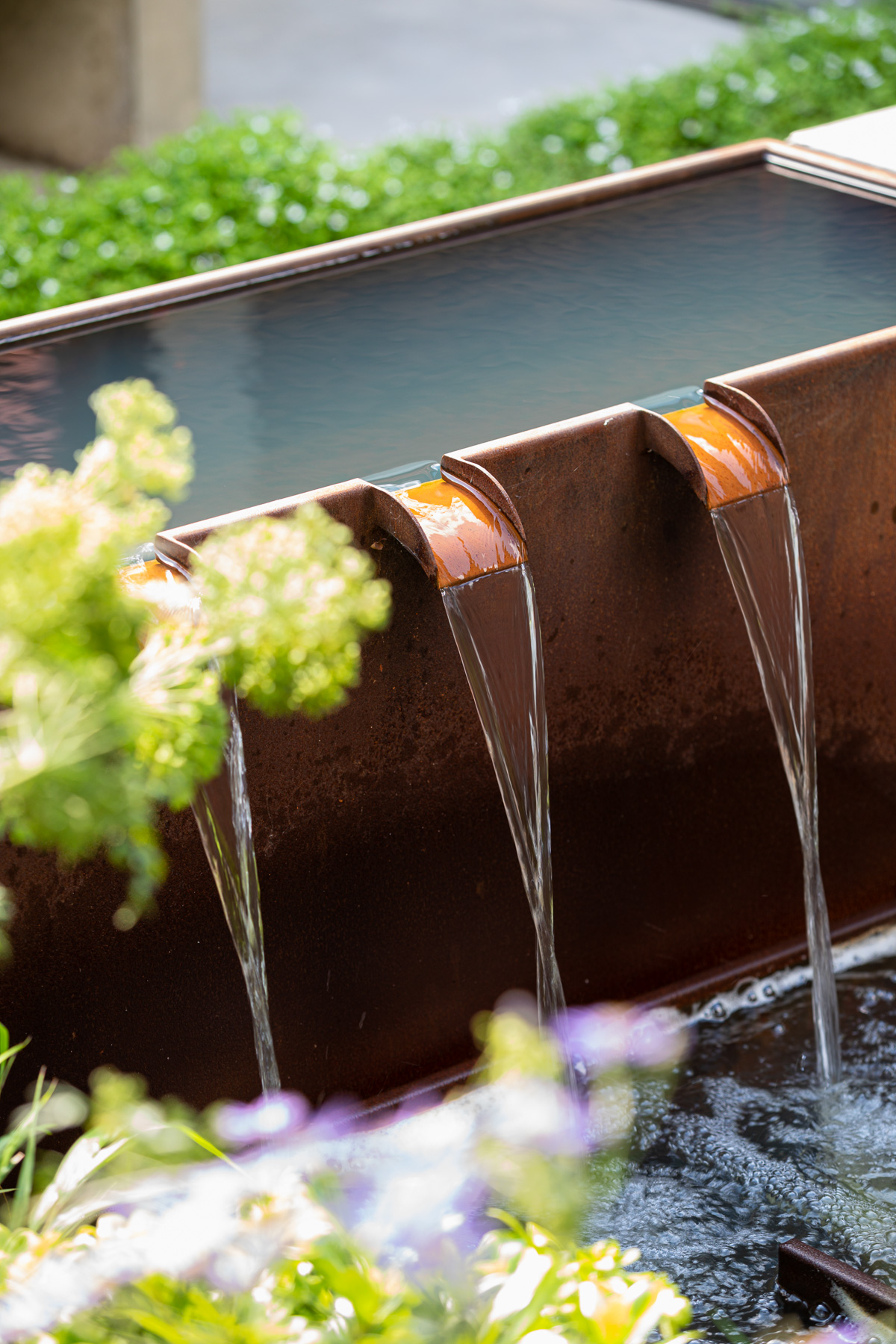 Colm Joseph Cambridge garden design modern water feature corten steel fountain cascade naturalistic planting